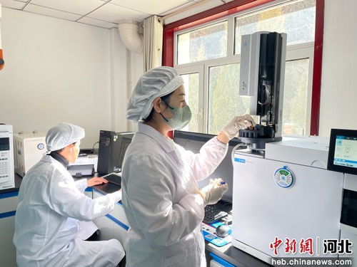 以科技創(chuàng)新為引擎，厚植新質(zhì)生產(chǎn)力發(fā)展根基 河北寬城的技術(shù)開(kāi)發(fā)之路